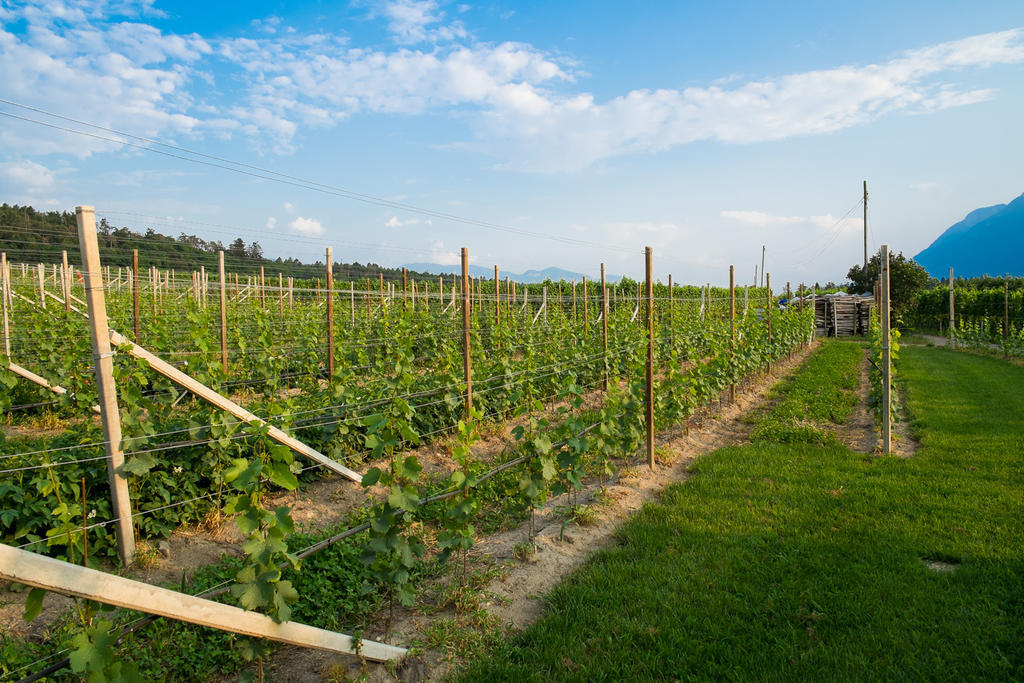 Ferienwohnung Pippohof Appiano Sulla Strada Del Vino Rom bilde