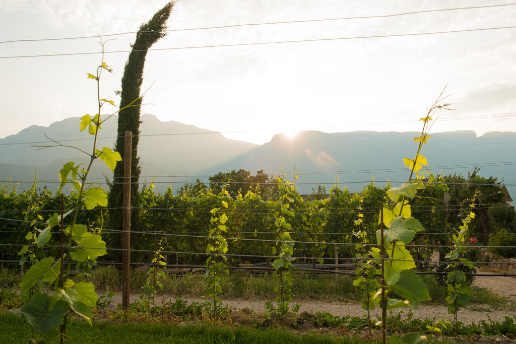 Ferienwohnung Pippohof Appiano Sulla Strada Del Vino Rom bilde